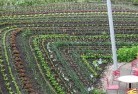 Areegrapermaculture-5.jpg; ?>